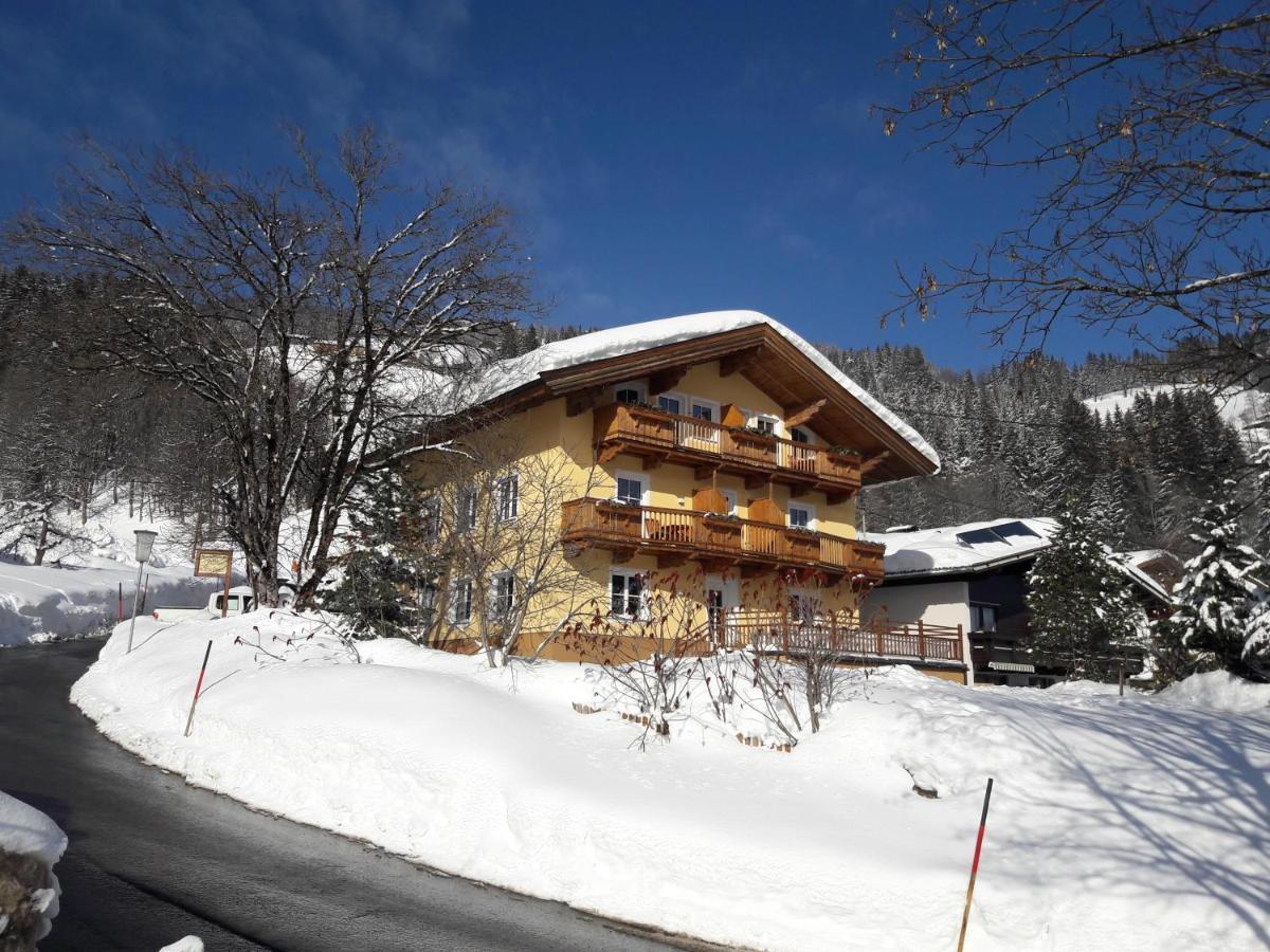 - Haus Sieberer Apartment Brixen im Thale